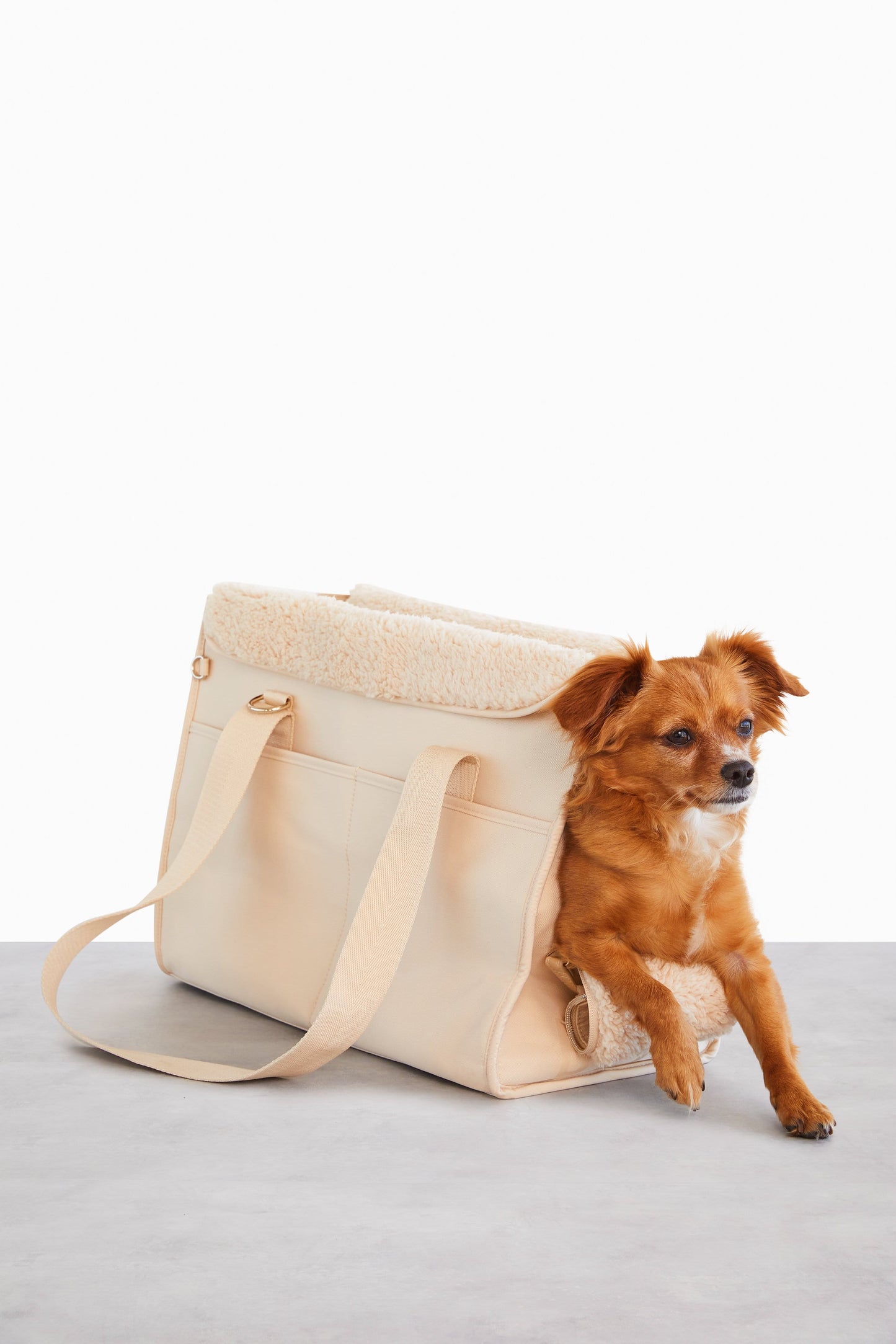 Resale The Everyday Pet Tote in Beige