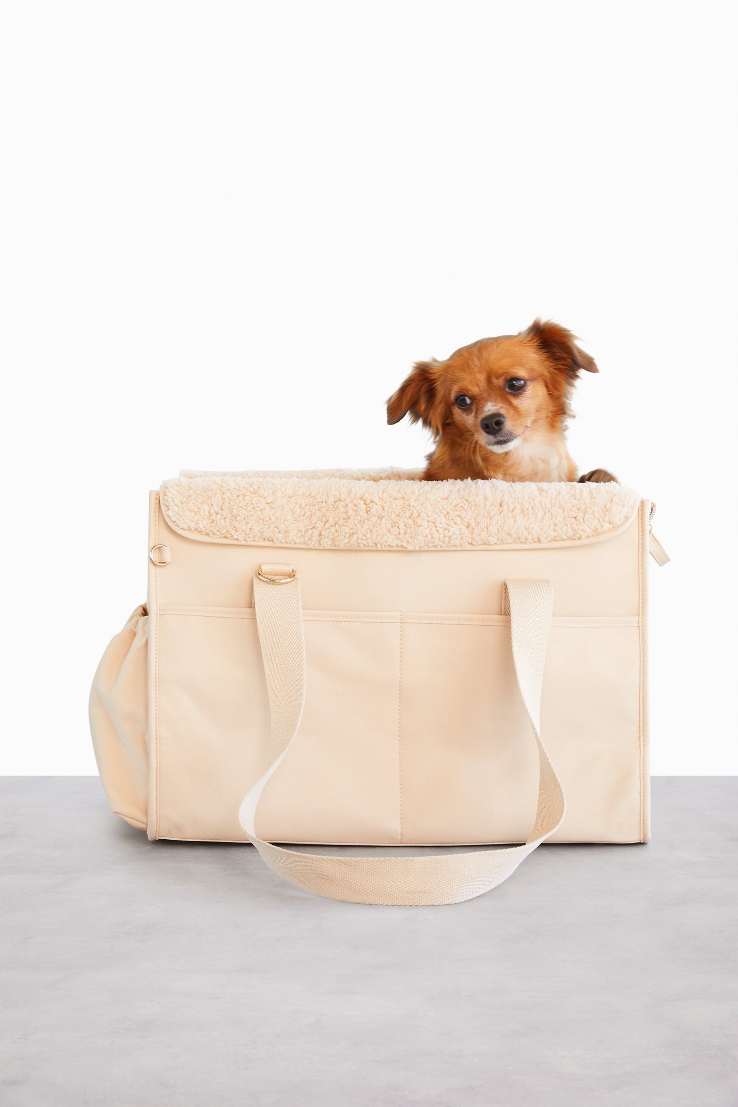 Resale The Everyday Pet Tote in Beige