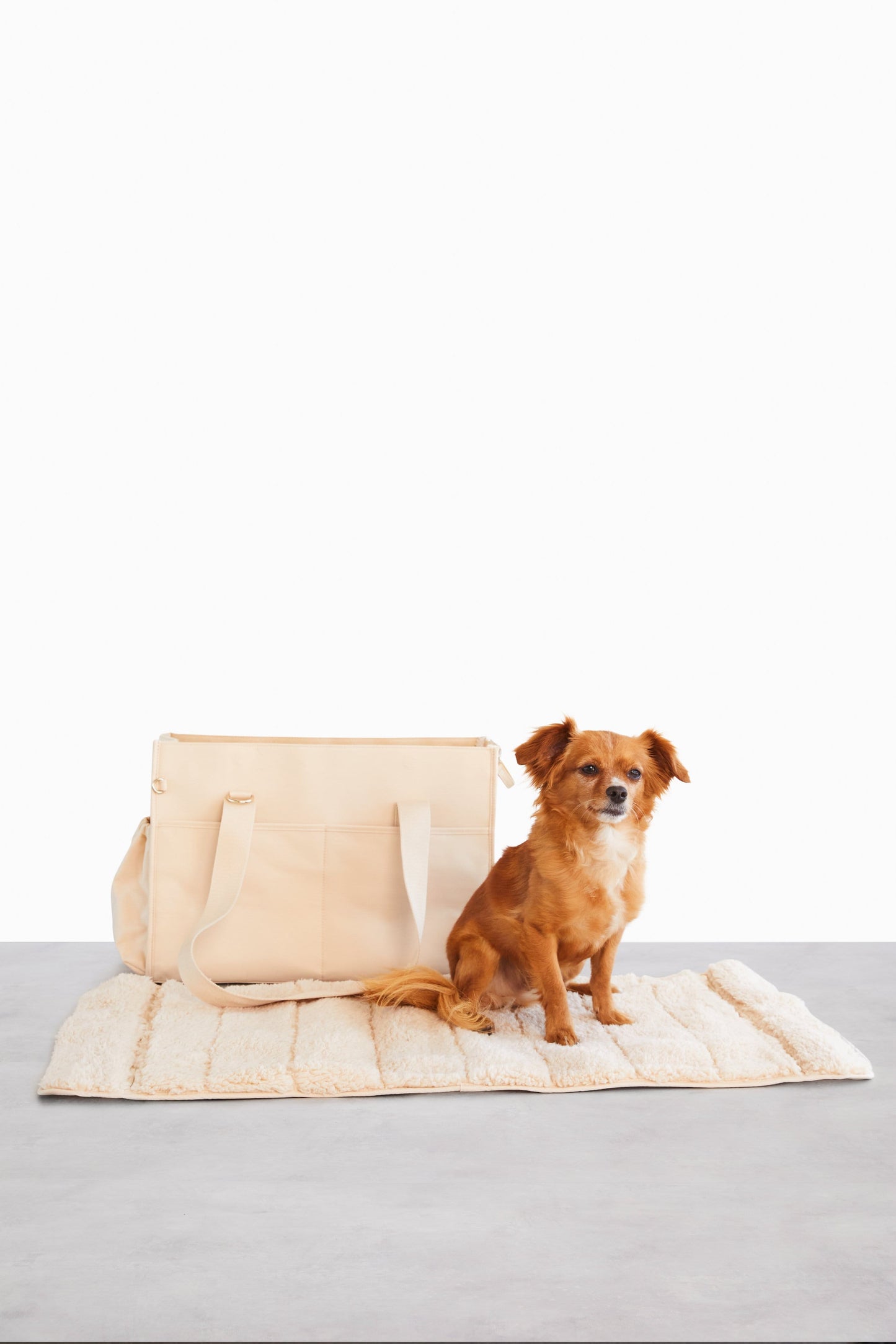 Resale The Everyday Pet Tote in Beige