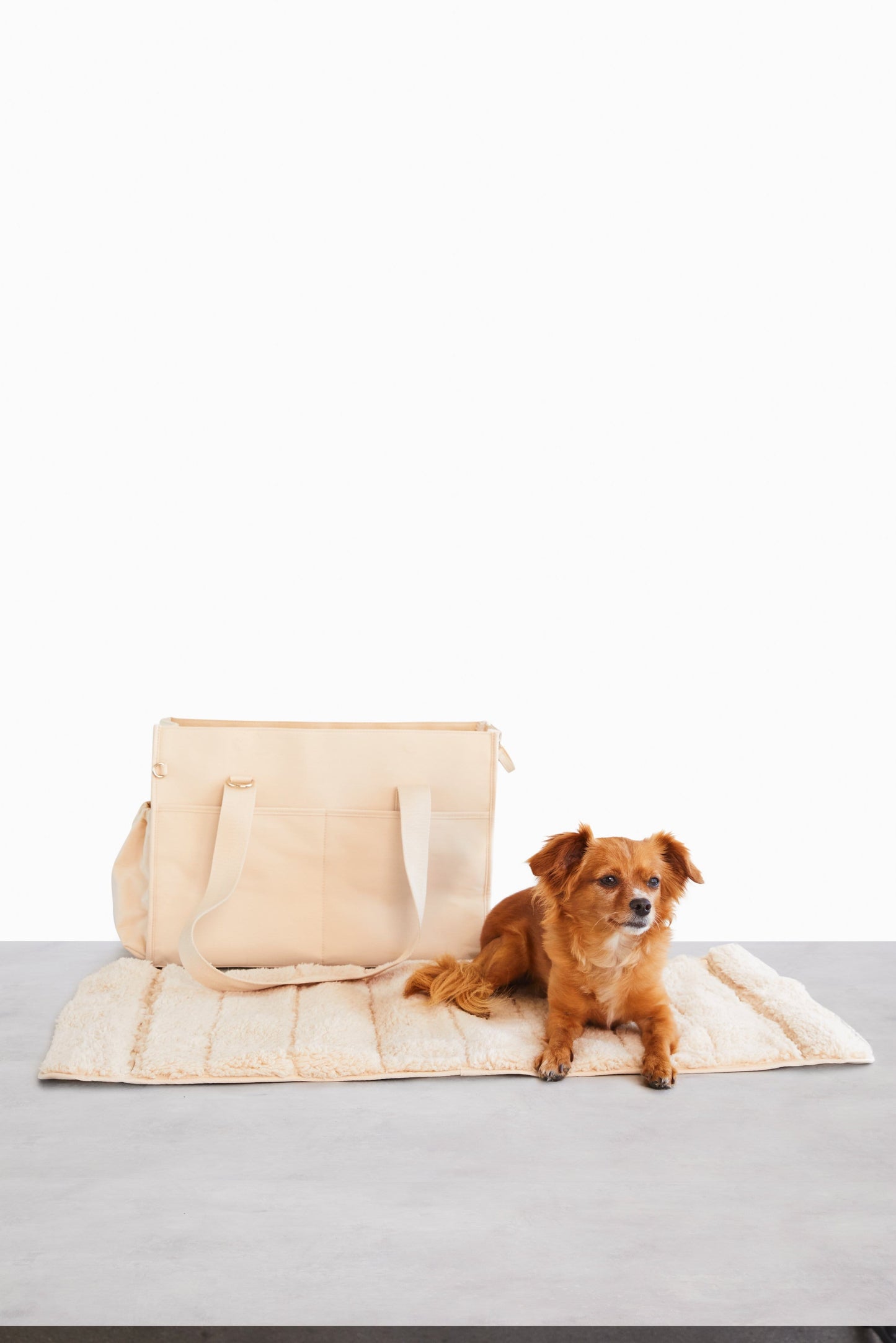 Resale The Everyday Pet Tote in Beige